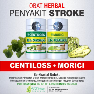 Illustration for article titled Obat Stroke Dari Tumbuhan